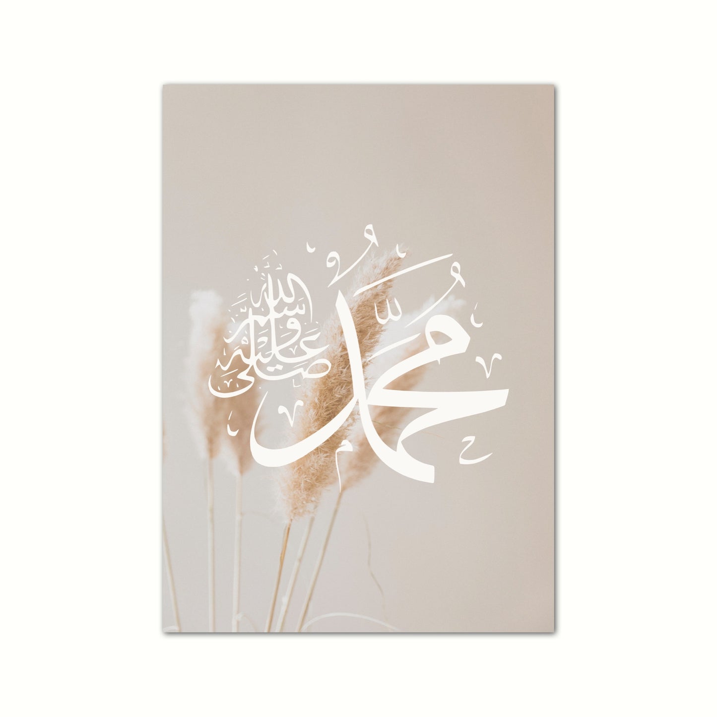 XXL Mosque 5er Set